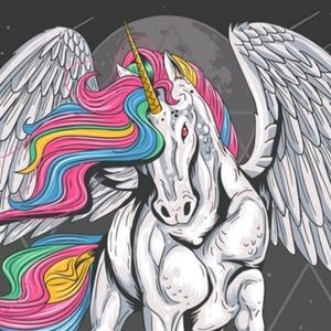 Meet your Posher, Tani